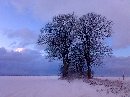 zdjęcie - jolable